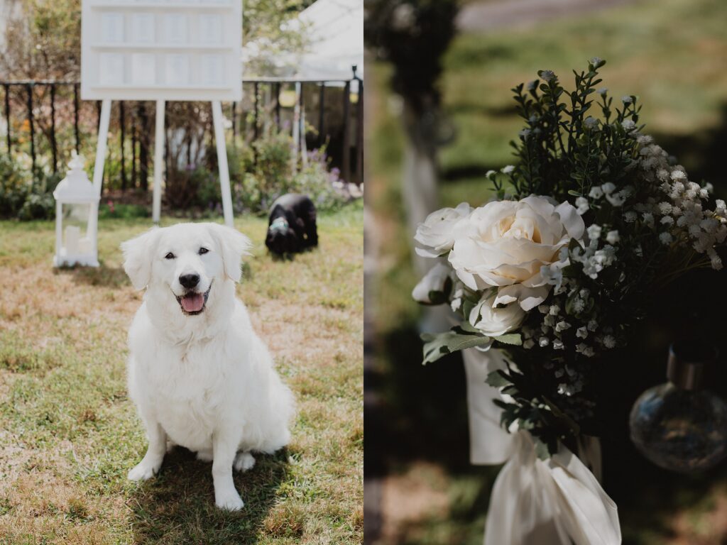 Discover Kirsten + Charlie’s romantic August wedding at Gwyn Careg Inn. Elegant details, lush florals, and timeless photography.