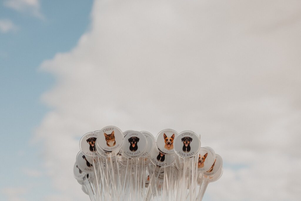 Saltwater Farm Vineyard Wedding | Courtney + Dan