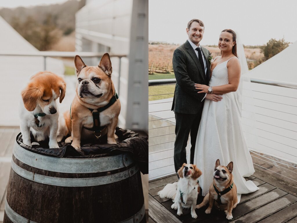 Saltwater Farm Vineyard Wedding | Susanna + Kyle